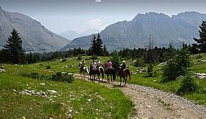 parcours équestre mots fléchés|Parcours Equestre